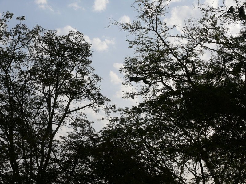 066 064 P1120836.jpg